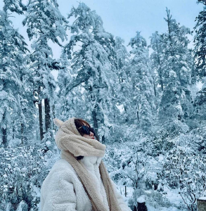 令人心动的四线川城承包东坡泡了巴蜀却一直被国人忽略