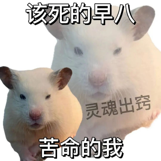 表情包 | 心疼的抱抱你 拿图点赞、吱声