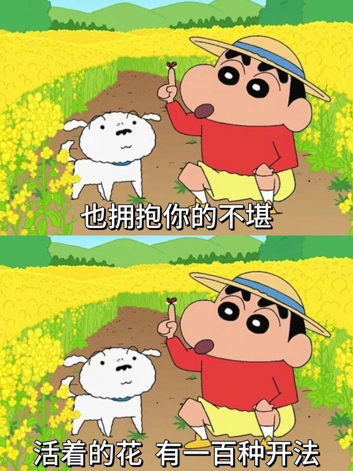 花有花期 人有时运 只要在变好 慢一点又何妨__财经头条