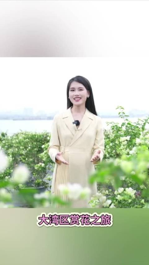 秀我中国探花姐姐赋予了她们更多人生可能