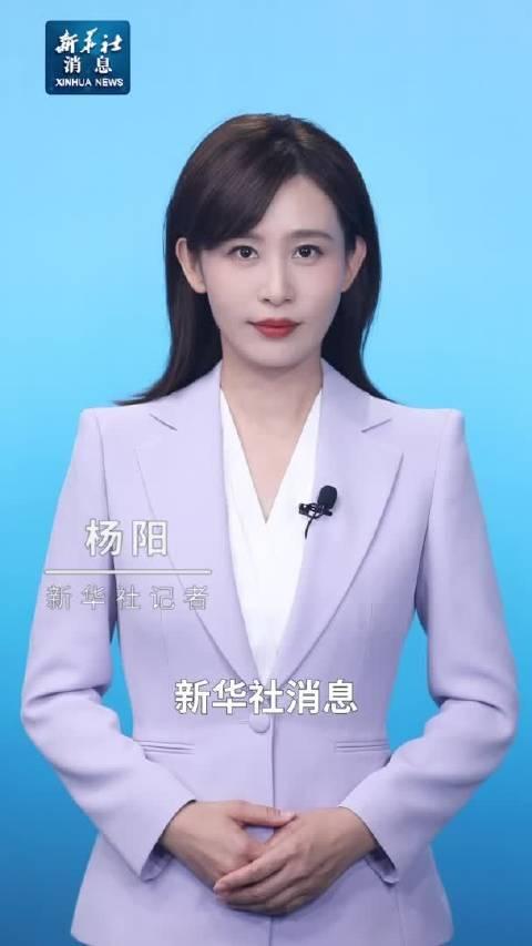 央视女主持人杨阳简历图片