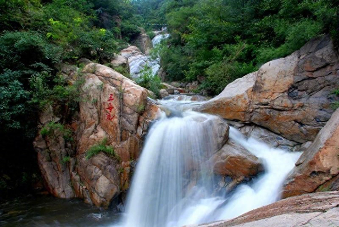 在淄博采摘季节限定的"维c小炸弹"|小红书|猕猴桃|博山_新浪新闻