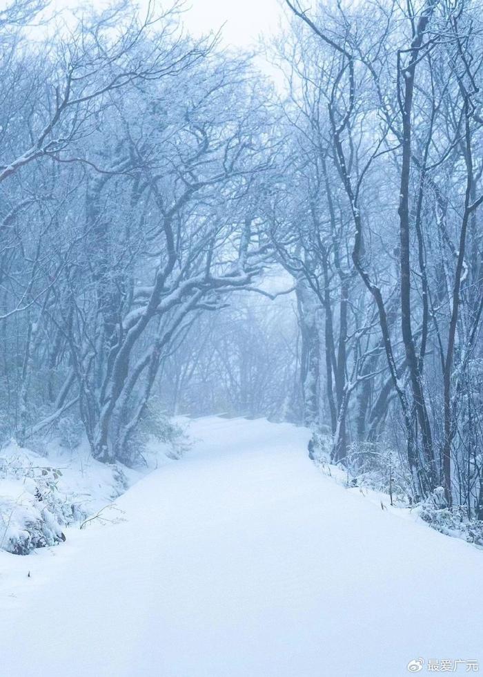 雪地图片大全背景图片