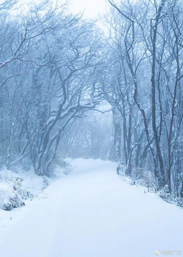 光头山|广元|冰天雪地_新浪新闻