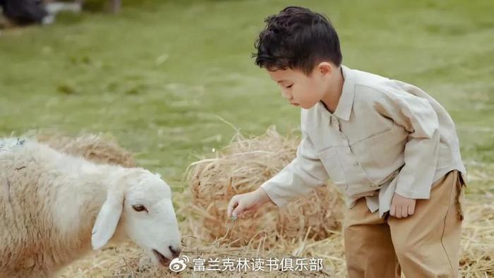 教育最的悲哀，就是把孩子驯化成一只羊