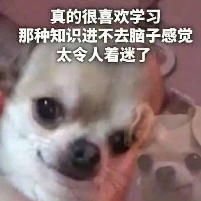 大学生期末周表情包