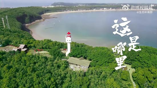 让鲸喜常在北部湾海洋生态科普宣传融媒直播预告直播美丽中国用色彩