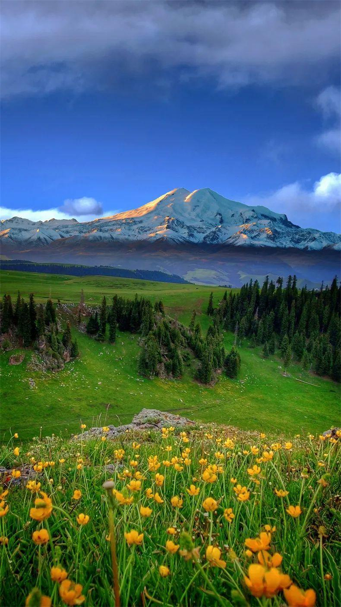 这处小众草原,那条夏日醉美公路,6月去美绝了|唐布拉草原|唐布拉|草原