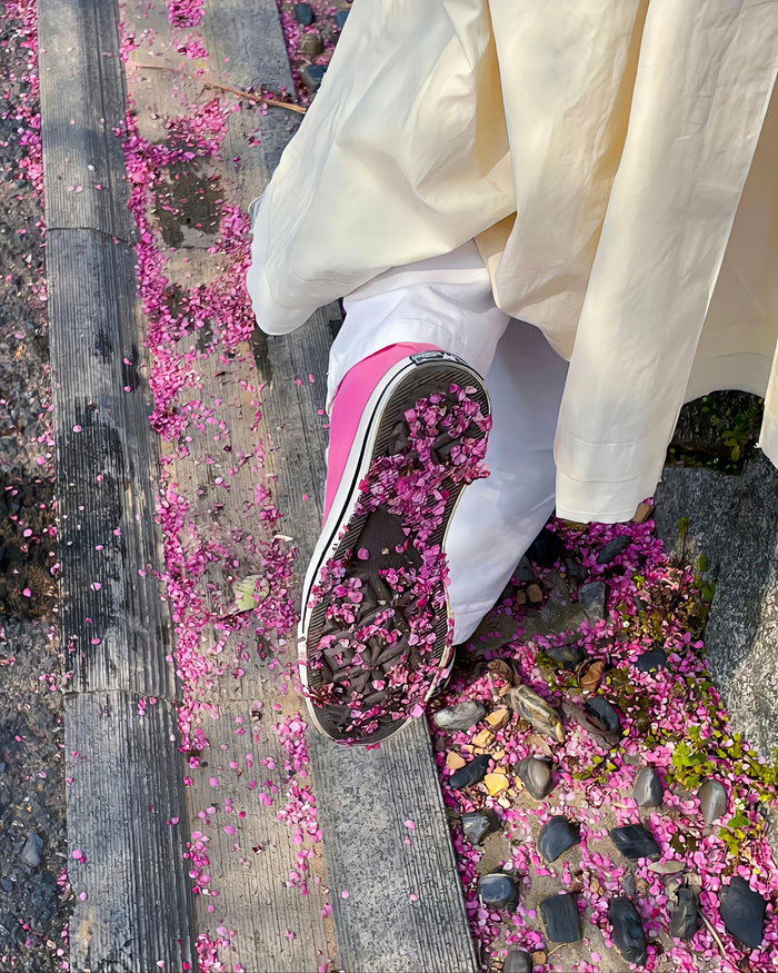 春天要开始走花路了