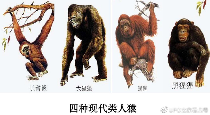 地球上最先出现的两个人是谁?为何需要一男一女才能诞下后代?