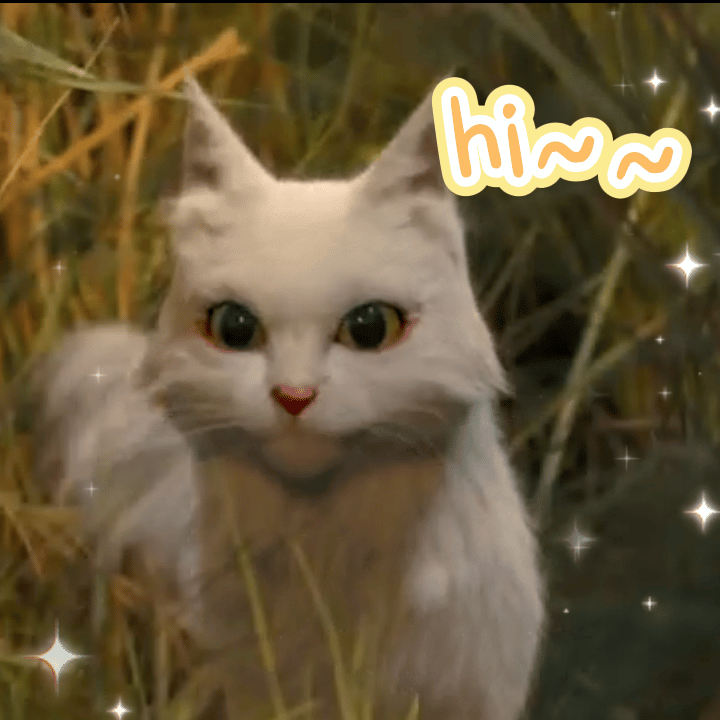 微博私信回复也改成了猫猫歪头打招呼,这跟丁禹兮本人送出的歪头杀有