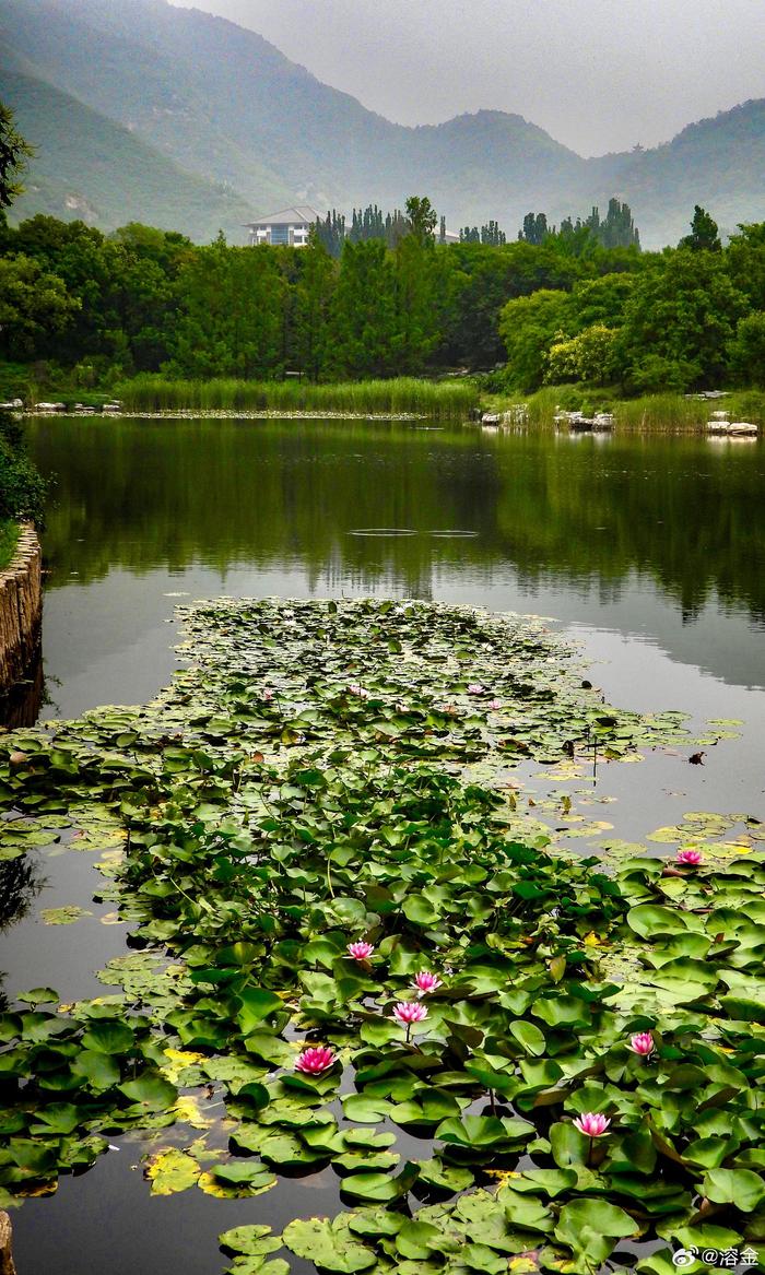 北京国家植物园