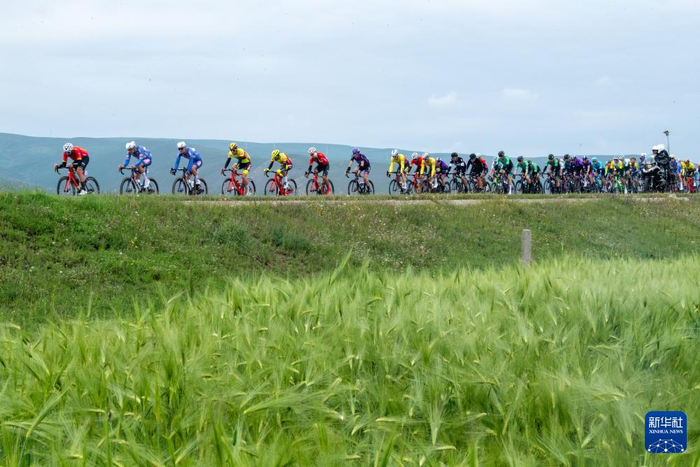 自行车——环青海湖国际公路赛第七赛段赛况|新华社|车队|骑行_新浪
