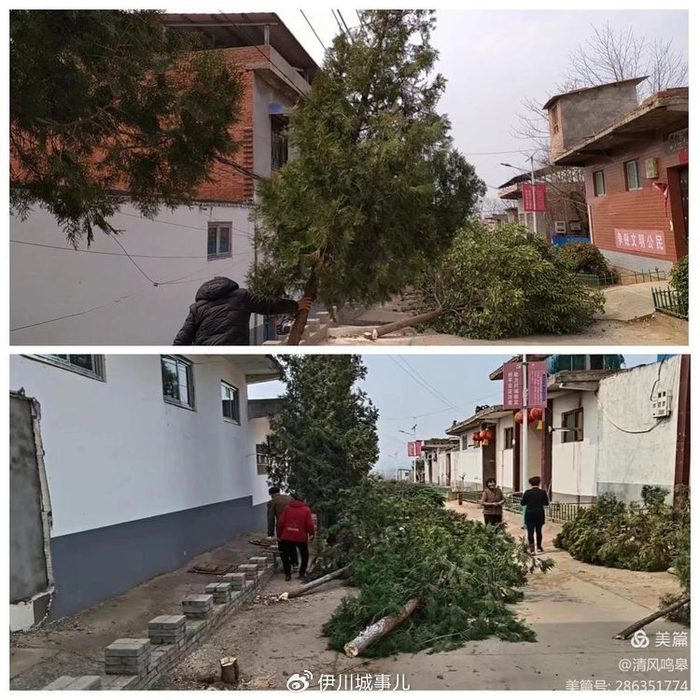 河南伊川:鸣皋镇2024年度重点项目集中开工|洛阳市|河南省|伊川_新浪