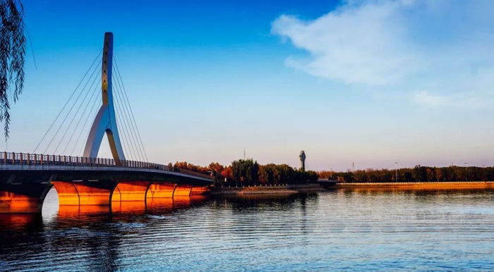 去阳光里播种春天!|大自然|茌平|博览馆_新浪新闻