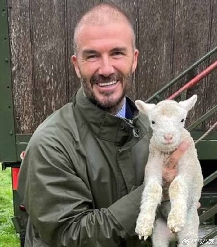 贝克汉姆分享与山羊合照却因头发稀疏被网友群嘲不如剃光了吧