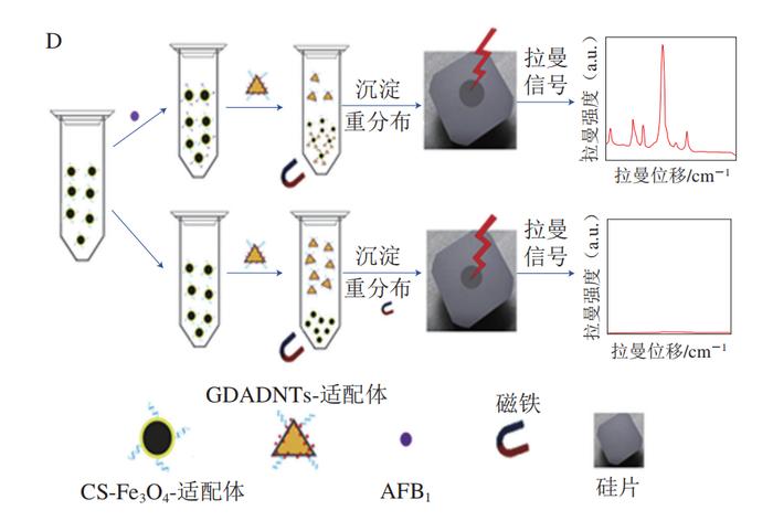 在sers間接檢測中,由於抗體制造技術已較為成熟,因此其成為應用最廣泛