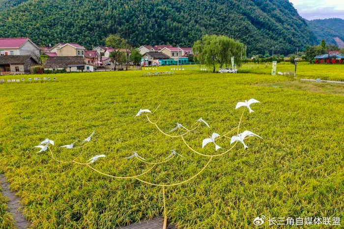 春游江淮|宁国西村:一个被艺术唤醒的小山村