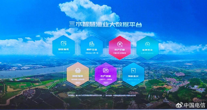 岛上,时尚民宿成为旅游平台的新宠,海上直播间的赶海直播视频粉丝众多