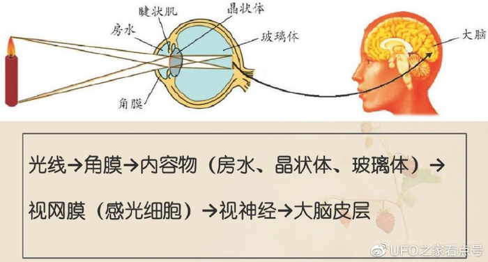 科学家深入研究，得出一个可怕的结论，人类也许是生活在虚拟世界