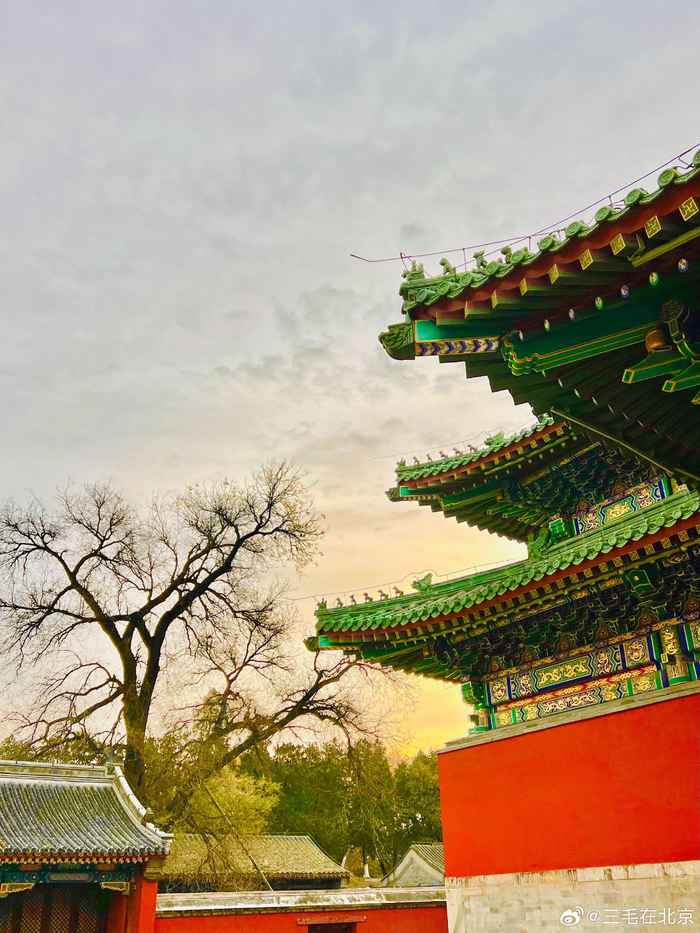 北京圆明园博物馆(正觉寺) 摄影