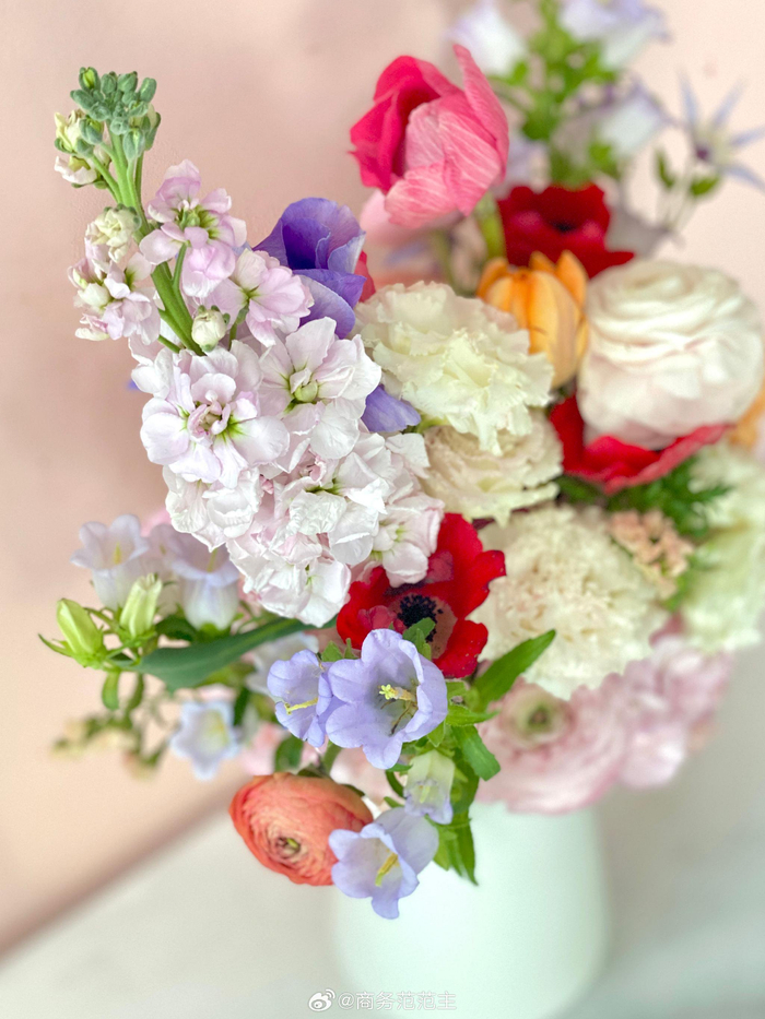 收到vancleefarpels一年一度的春之礼赞正好今天是春分太有心了