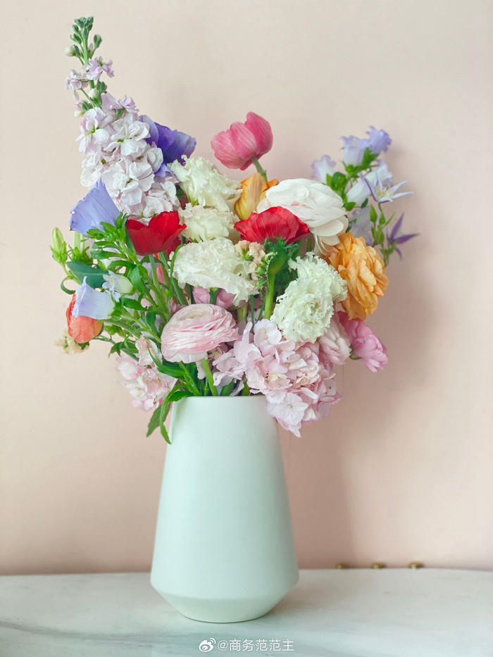 收到vancleefarpels一年一度的春之礼赞正好今天是春分太有心了