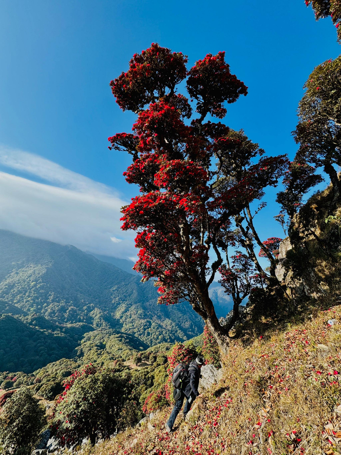 永德大雪山采风照