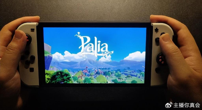 palia帕利亚switch怎么联机?palia无法联机匹配组队解决教程|帕利亚|Switch|任天堂Switch|暴雪|NS|游戏|联机 ...
