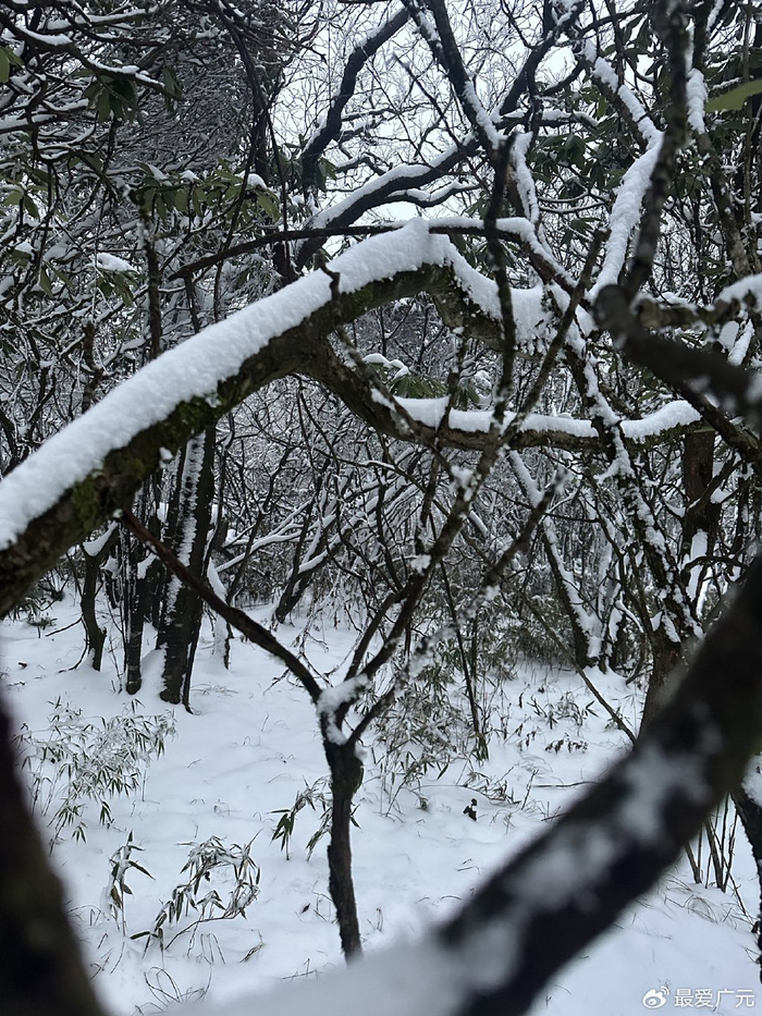 冰天雪地今年初冬光头山迎来第一场雪银装素裹美如画