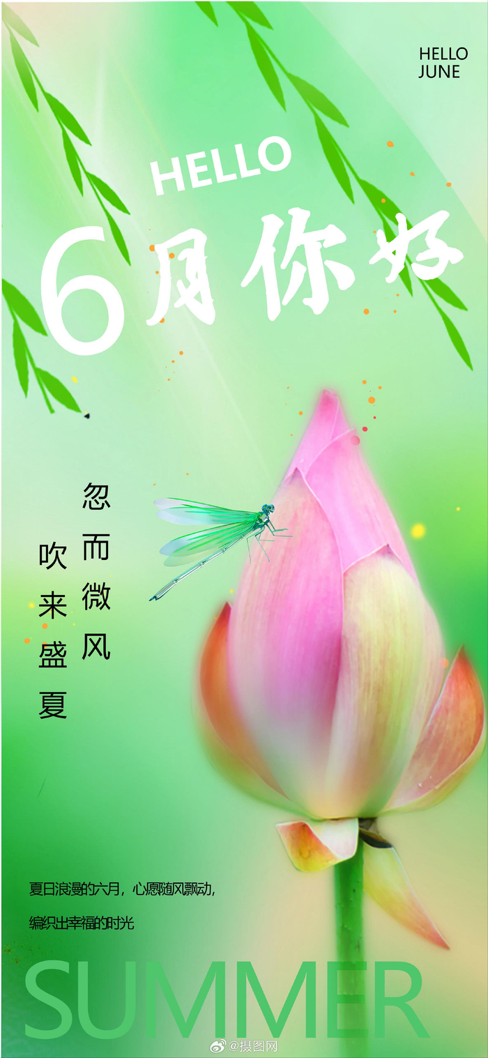 清新设计 | 六月夏天海报模板