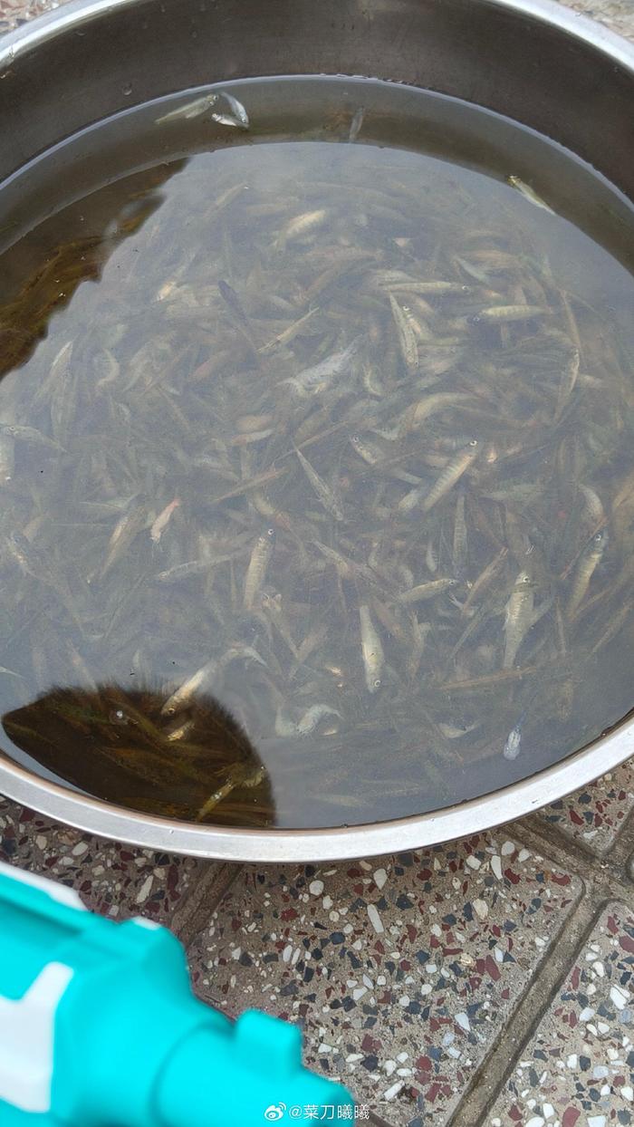 幼儿误食生虾家长紧急处置