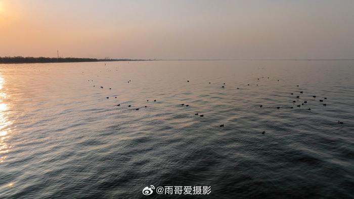 天气渐渐回暖,宿迁骆马湖,水暖鸭先知
