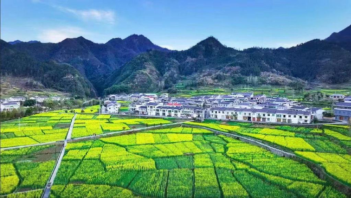 西安百家旅行社访竹溪活动盛大举行|同仁|竹溪|旅行社_新浪新闻