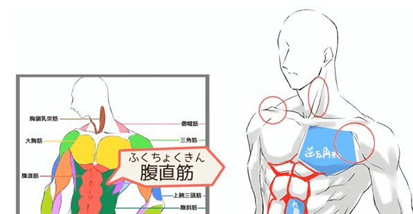 男性和女性的对比