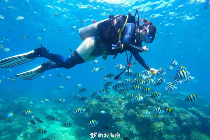 真的不要认为三亚潜水都是"坑".|三亚|下水|教练_新浪新闻