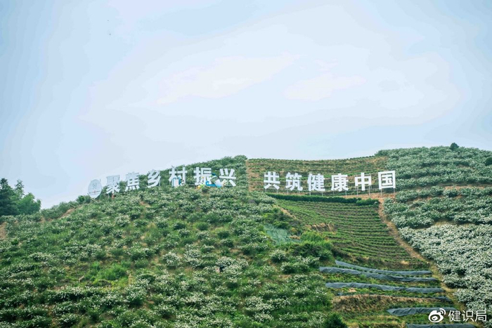 产业活水进家门,扬子江药业集团送来乡村振兴“致富经”