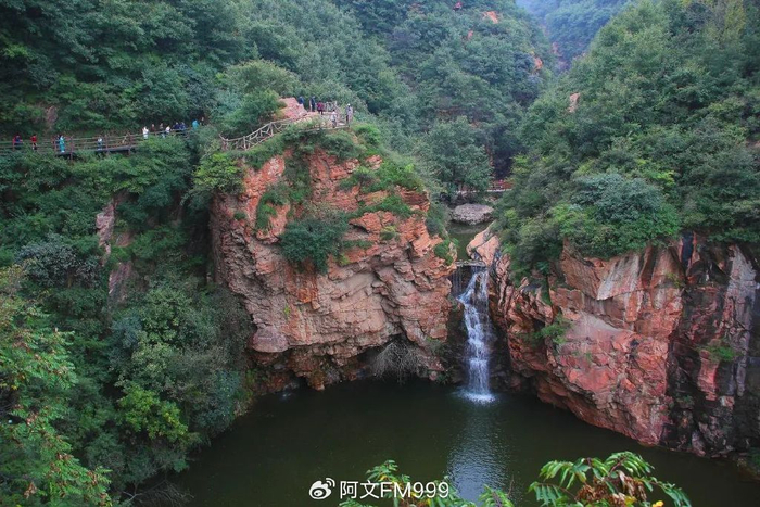 新密|伏羲山|杏花_新浪新闻