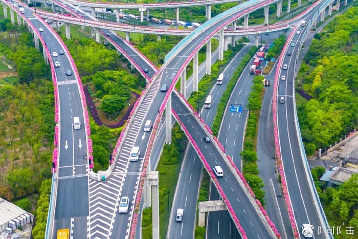 城市道路太美,有什么好大惊小怪的,杭州人早就习以为_