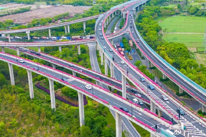 城市道路太美,有什么好大惊小怪的,杭州人早就习以为|
