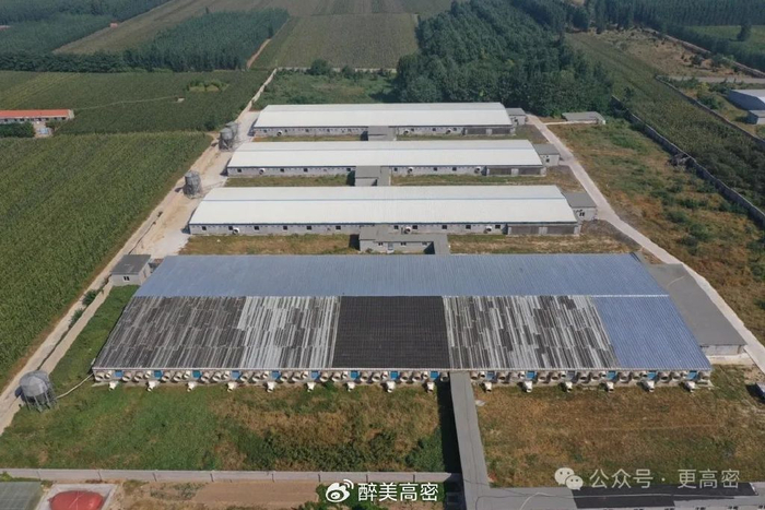 山东省第十届猪业山河论坛在我市圆满召开