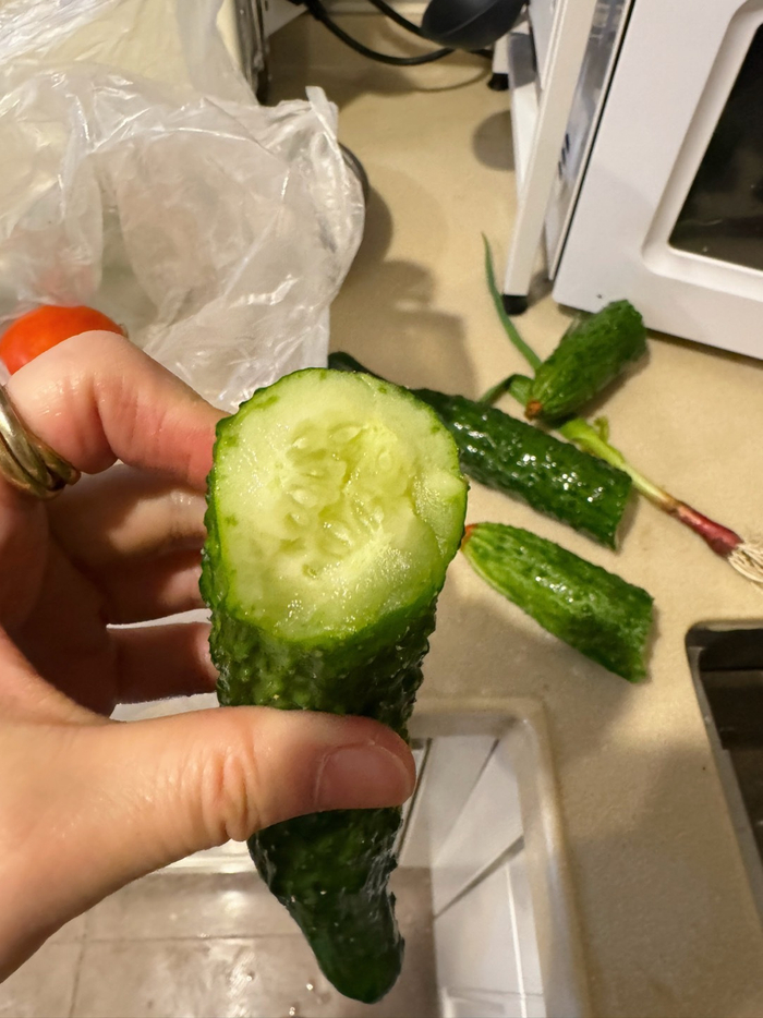 买菜被骗了,表面上看起来光鲜嫩绿的黄瓜实则里面都冻坏了