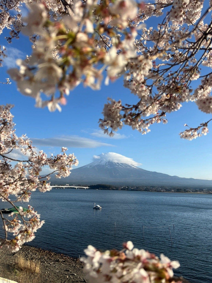 一个人的单程旅途围着富士山绕了一圈