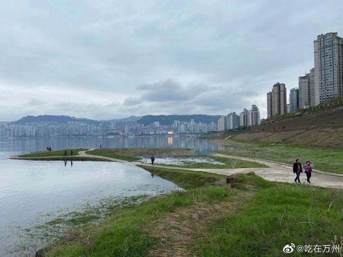 万州一江碧水，三三两两的行人江边漫步，水草也开始逐渐泛绿……__财经头条__新浪财经