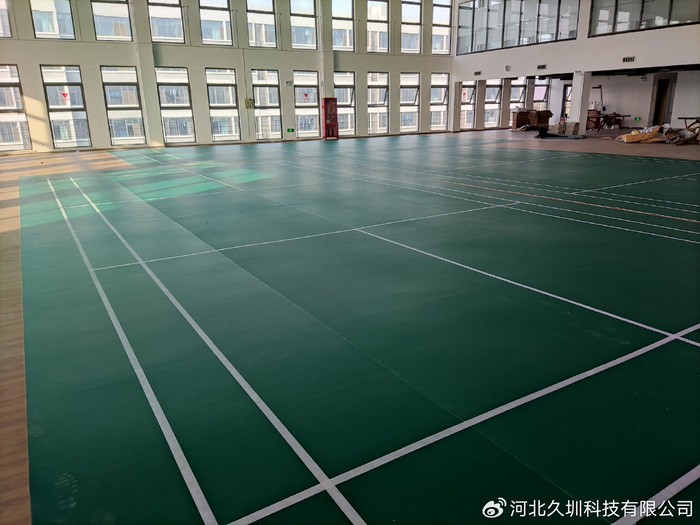 羽毛球场PVC运动地胶|地胶|运动员|场馆_新浪新闻