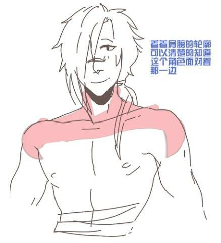 跟着圆的弧度往下画(这个同样对画手臂有帮助)锁骨.