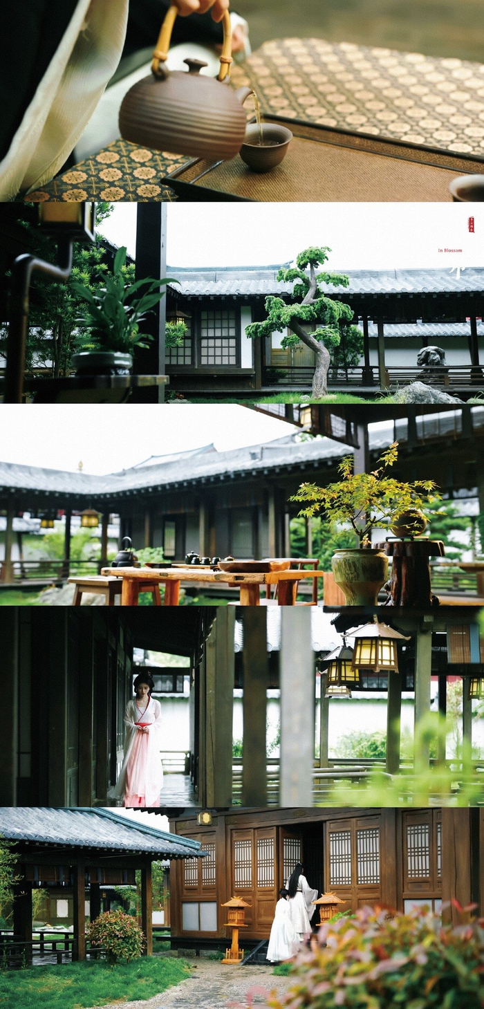 情感交错犹如花间迷阵潘樾杨采薇卓澜江白小笙四人陷入爱的漩涡