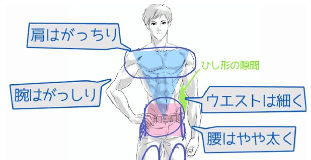 男性和女性的对比