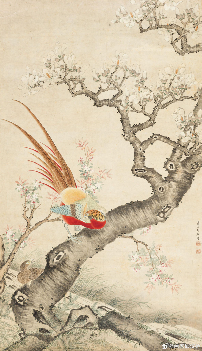 古代画家笔下的玉兰花