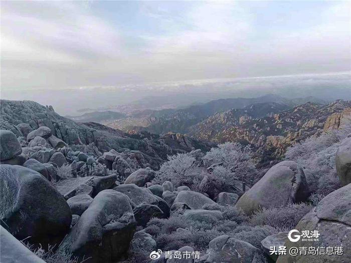 雨凇過後嶗山又現霧凇奇觀如夢似幻超治癒